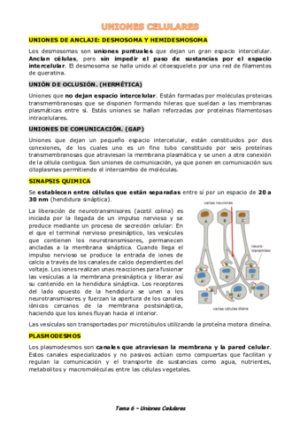 Tema-6-Uniones-Celulares.pdf