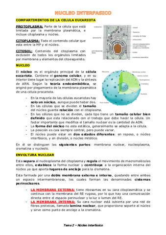 Tema-2-Nucleo.pdf