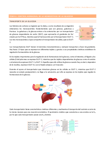 TEMA-6-CONTROL-HORMONAL-DE-LA-HOMEOSTASIS-DE-LA-GLUCOSA.pdf