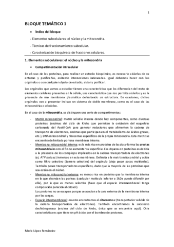 BLOQUE TEMÁTICO 1 (1).pdf