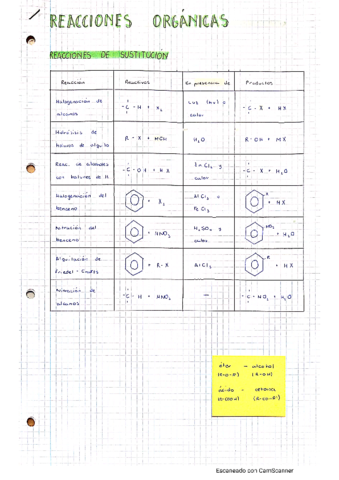 organica-2bach.pdf