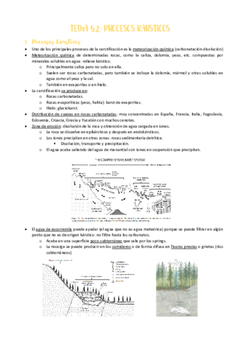 TEMA-5.pdf