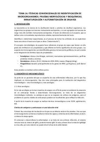 Tema 14.-Técnicas convencionales.pdf
