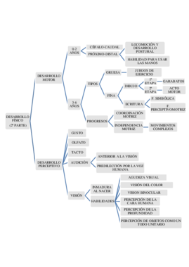 DESAROLLO COGNITIVO 1ª PARTE.pdf