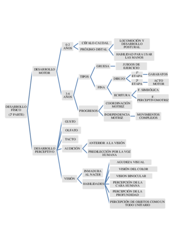 DESARROLLO FISICO 1ª PARTE.pdf