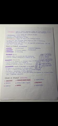 F8989615-A941-4713-A9EC-B5A0987B73CE.png