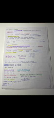 8AE36206-F02A-4FDE-8DD0-03A185730C33.png