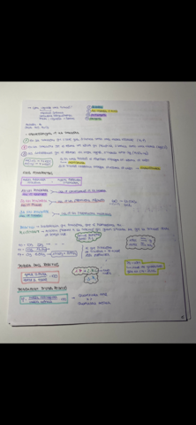 8DA36D79-EB2F-49C8-84C1-44DEFDD4CF7A.png