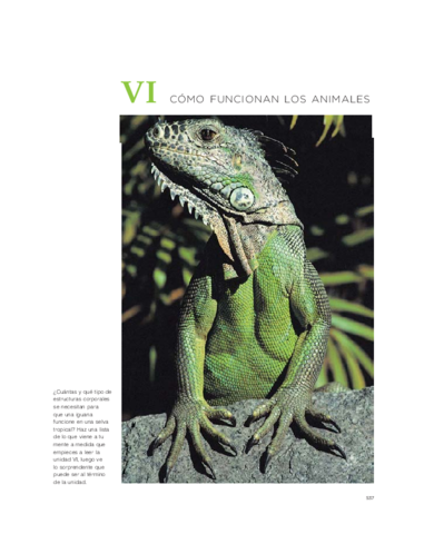 Tejidos-animales-1.pdf