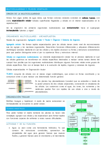 MULTICELULARIDAD-Y-TEJIDOS-VEGETALES.pdf