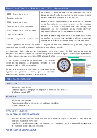 Trabajo-practico-2.pdf