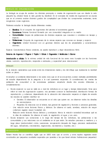 Niveles-de-organizacion.pdf