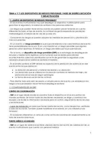TEMA-6-Y-7.pdf