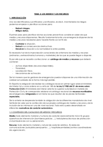 TEMA-3-PE.pdf