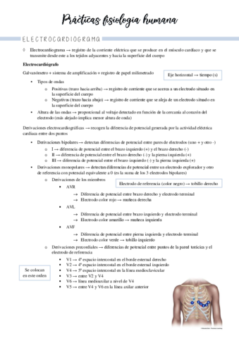 apuntes-practicas-2a-parte.pdf