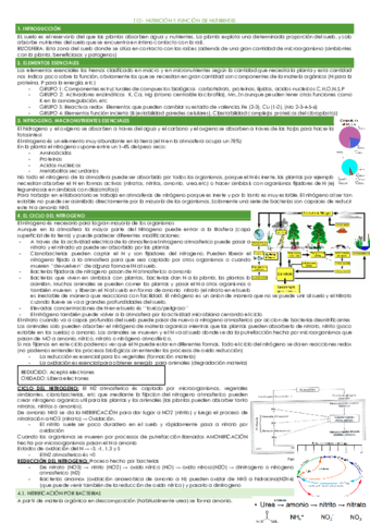 T12-NUTRICION-Y-FUNCION-DE-NUTRIENTES.pdf