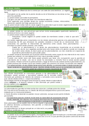 T2-PARED-CELULAR.pdf