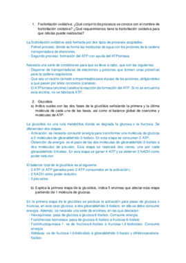 EXAMEN 2013-2014.pdf