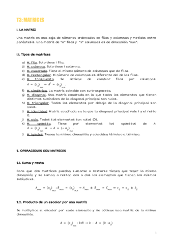 T3-Matrices.pdf