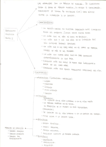 DEFICIENTE AUDITIVO ESQUEMA.pdf