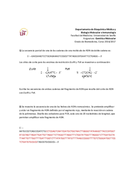 Serie2-Problemas.pdf