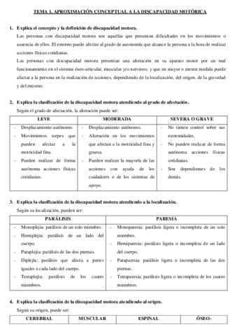 RESUMEN.pdf