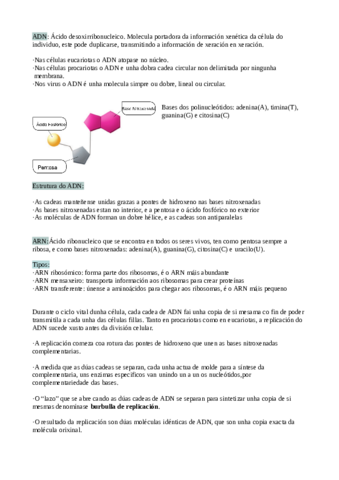 A-informacion-e-manipulacion-xenetica-.pdf