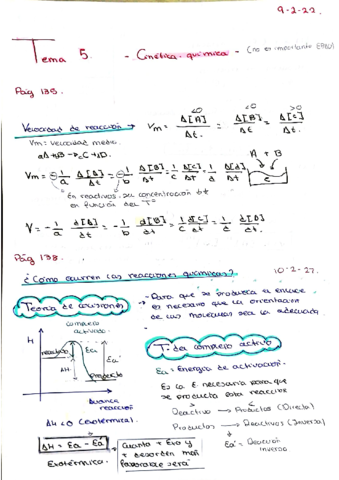 T5-CINETICA-QUIMICA.pdf