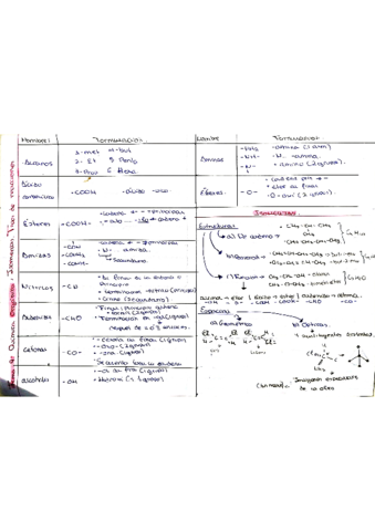 T9-QUIMICA-ORGANICA-ISOMERIAS-Y-TIPOS-DE-REACCION.pdf