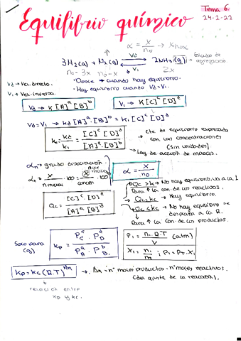 T6-EQUILIBRIO-QUIMICO.pdf