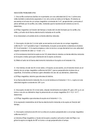 INDUCCION-PAU.pdf