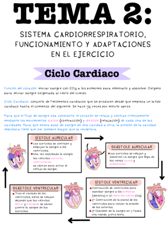 Tema-2-Sistema-cardiorrespiratorio-y-adaptaciones-en-el-ejercicio.pdf