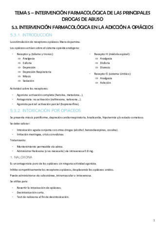 T5.3 - ESTRATEGIAS (OPIÁCEOS).pdf
