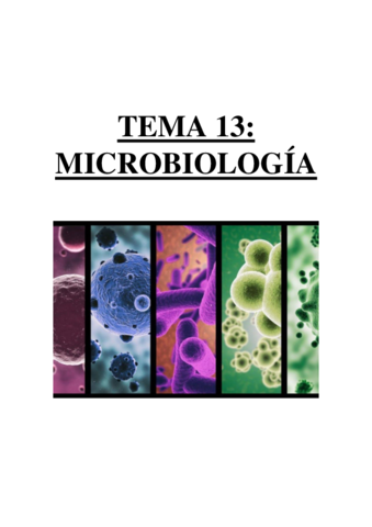 TEMA 13 - MICROBIOLOGÍA.pdf