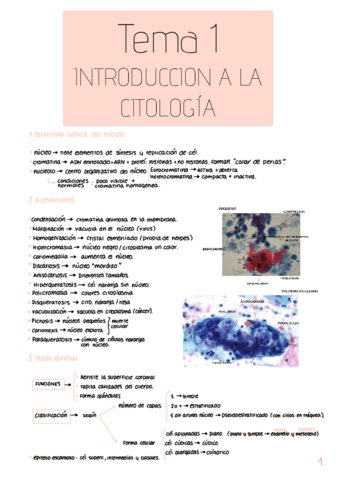 Citologia-General-temas-1y2.pdf