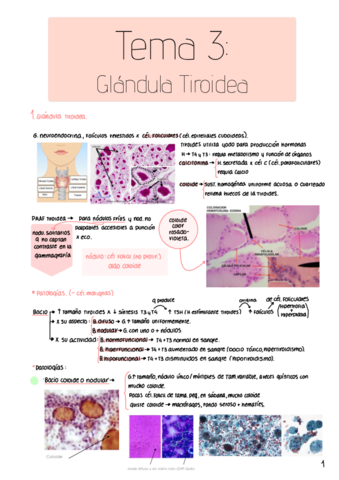 Citologia-General-tema-3.pdf