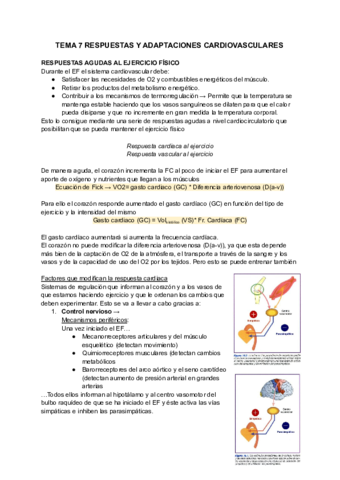 TEMA-7-DEPORTE-1.pdf