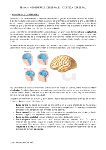Tema 4. Hemisferios cerebrales. Corteza Cerebral.pdf