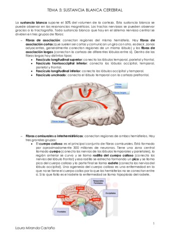 Tema 5. Sustancia blanca cerebral.pdf