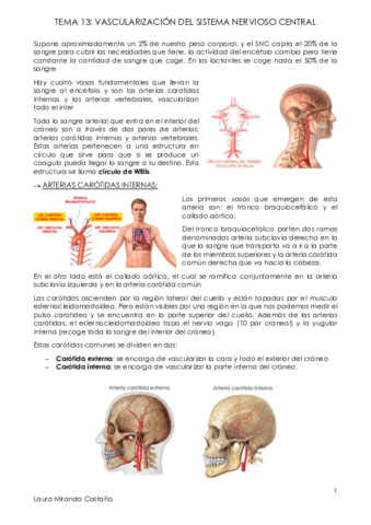 Tema 13. Vascularización del Sistema Nervioso Central.pdf