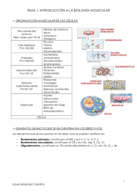 Tema 1. Introducción a la Biología Molecular.pdf
