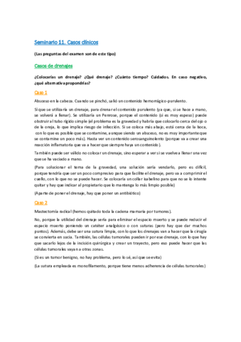 Seminario-11.pdf