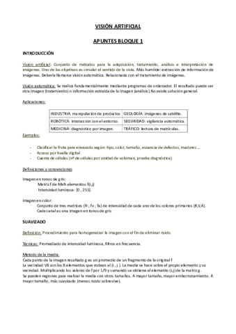 apuntes_vision_BLOQUE1.pdf