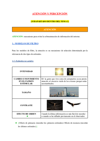 ATENCION-Y-PERCEPCION.pdf