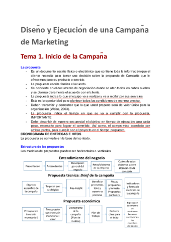 Diseno-y-Ejecucion-de-una-Campana-de-Marketing.pdf