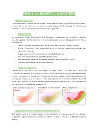 tema-3.pdf
