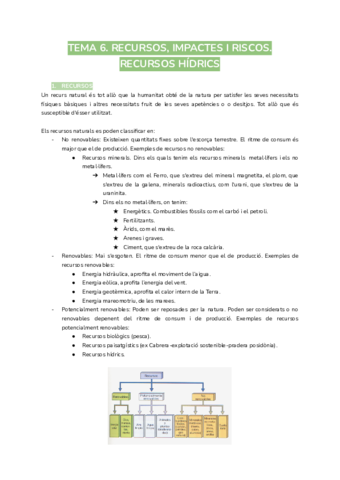 tema-6.pdf