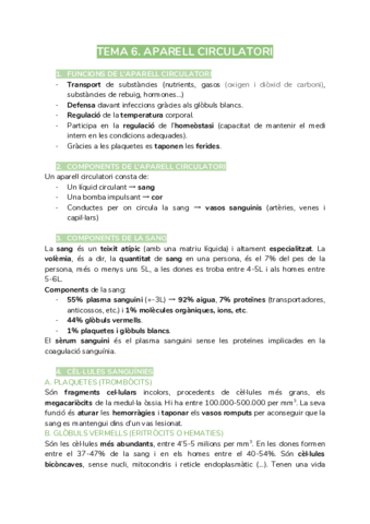 anatomia-tema-6.pdf