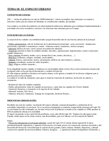 t10resumenirene.pdf