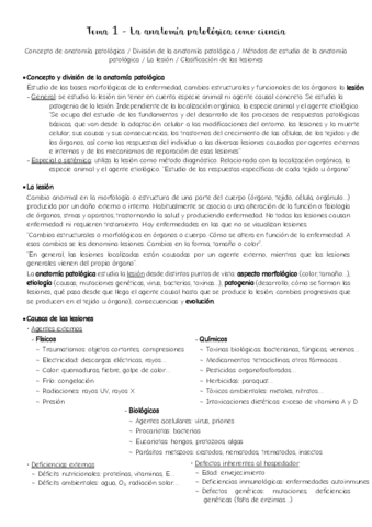 APG-1o-parcial-COMPLETO.pdf